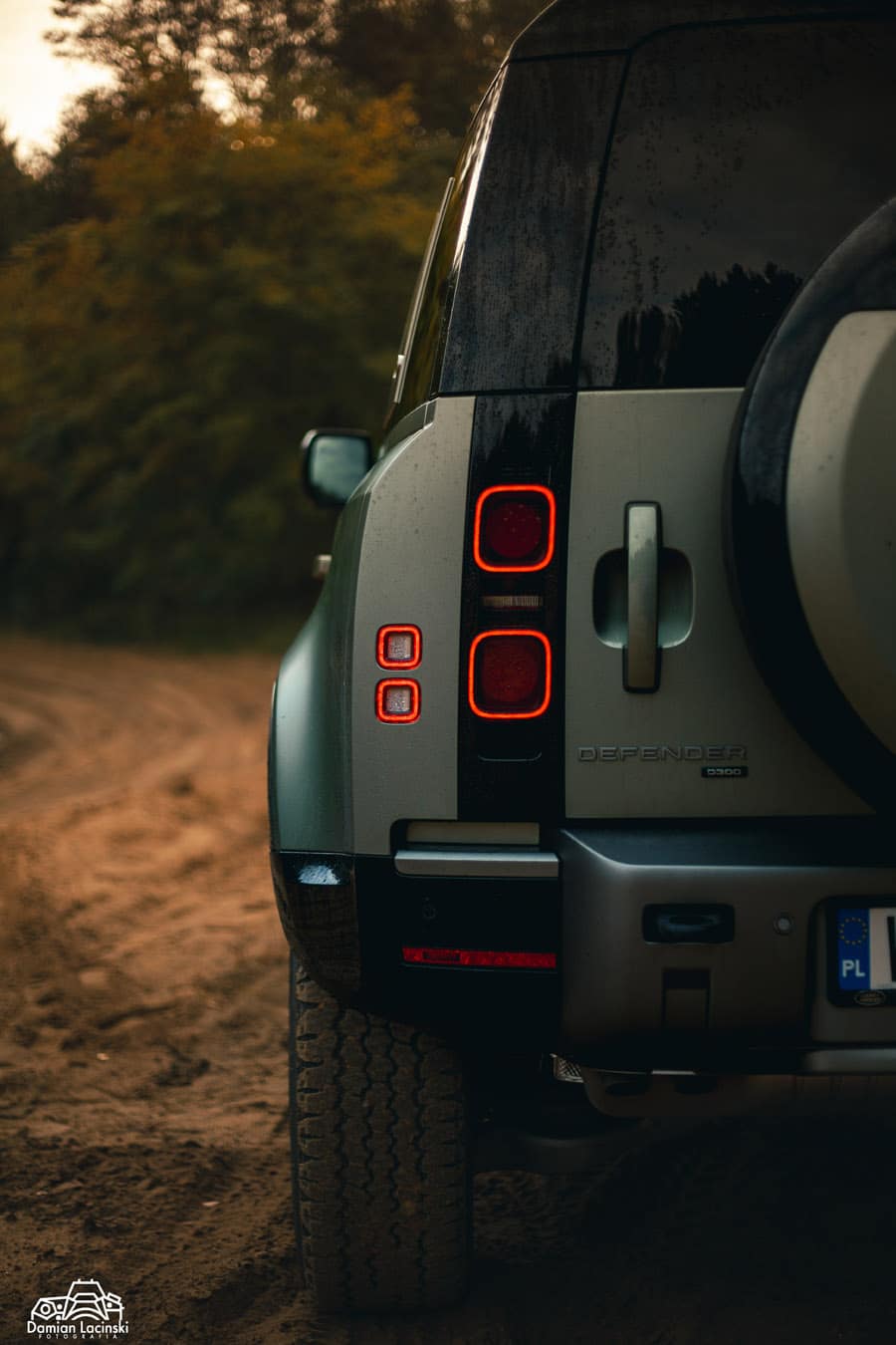 land rover defender 110 3.0 d300 detale